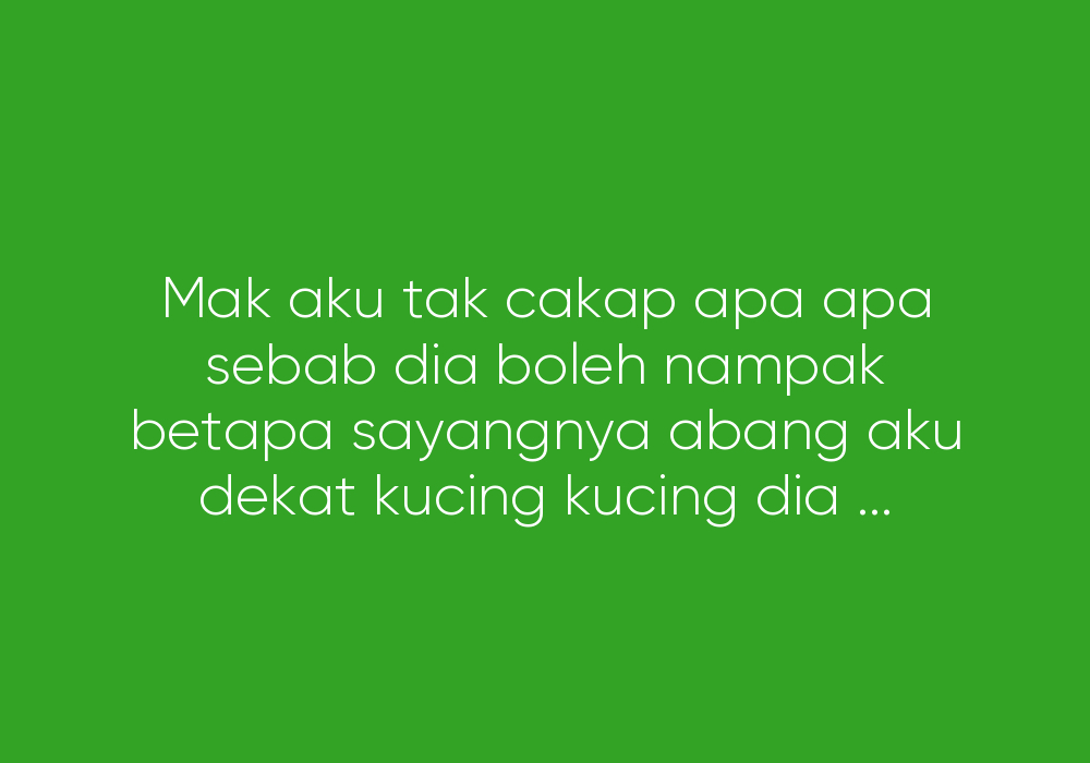 Kucing